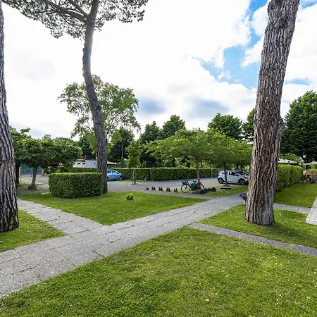 Rosy Torre del Lago Puccini